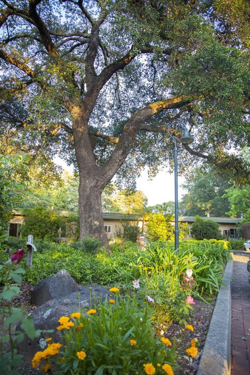 El Bonita Motel St. Helena Zewnętrze zdjęcie