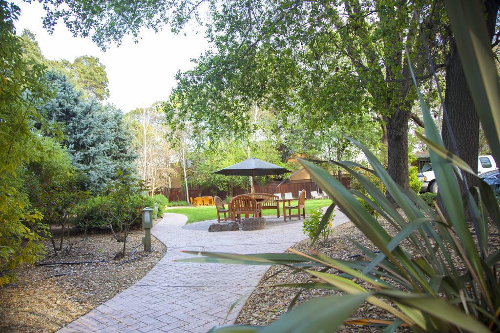 El Bonita Motel St. Helena Zewnętrze zdjęcie