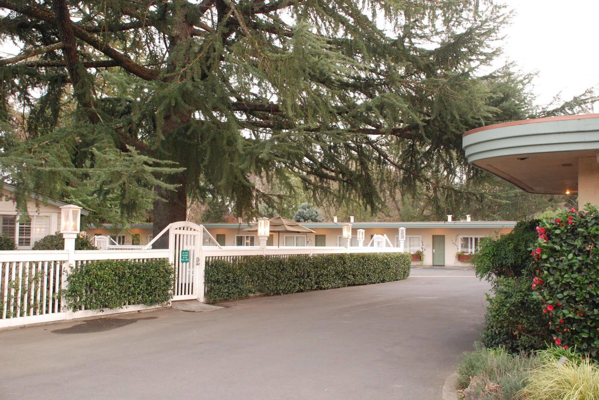 El Bonita Motel St. Helena Zewnętrze zdjęcie